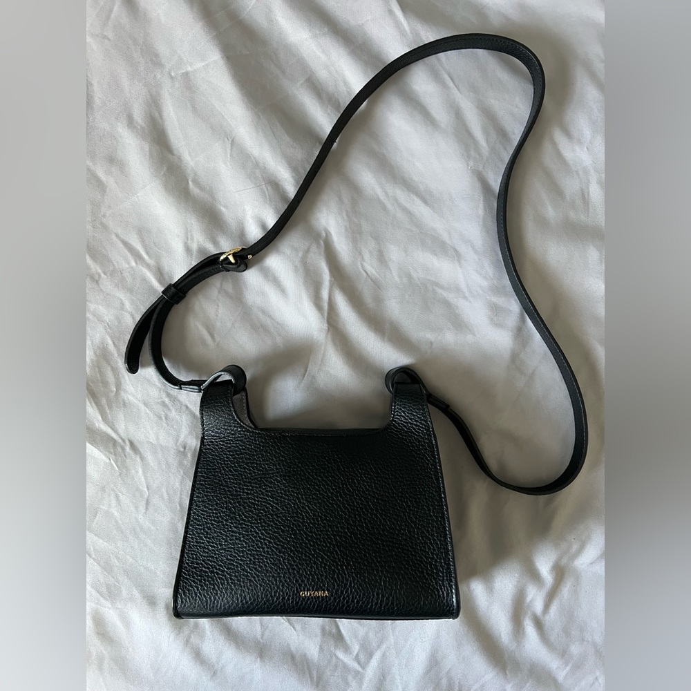 Cuyana mini double loop bag
